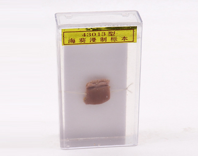 ������(bi��o)��